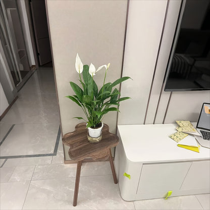 Bout de canapé nuage en bois de chêne